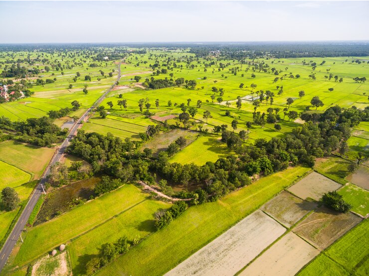 Terreno con manantial